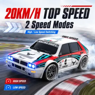 ZNLYRION 1:24 Scale 4 Wheel Drive RC Drifting Race Car 20km/h Adjustable High/Low Speed With Spare Drift Tires LED Headlight Taillight RC Toy For Boys Adult